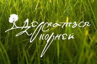 Проект «Сказки народов Вологодчины»